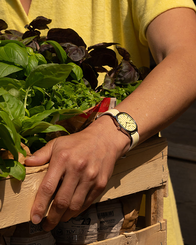 Sekret wyjątkowości Rayée - Giorgio Kelton.pl